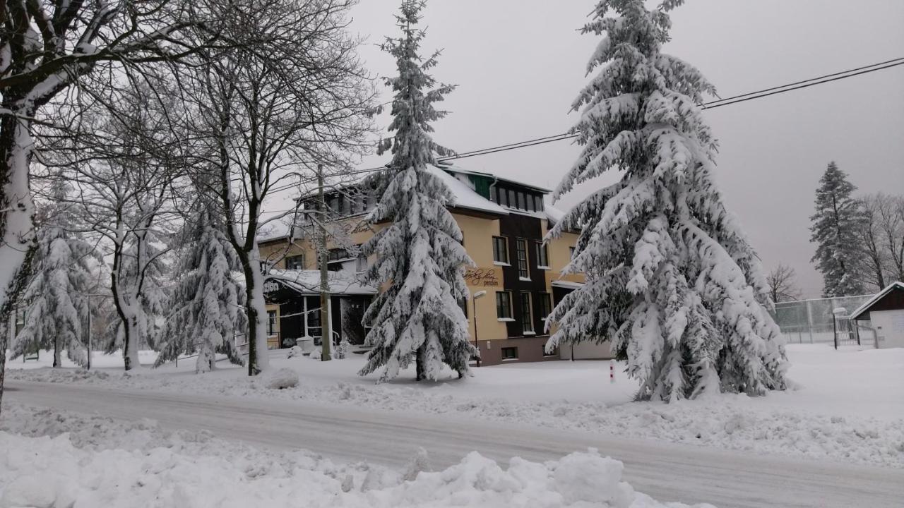 Penzion Svycarsky Dum Sneznik Exterior photo